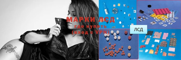 таблы Новозыбков