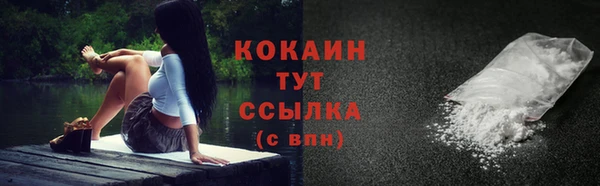 таблы Новозыбков