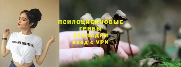 таблы Новозыбков