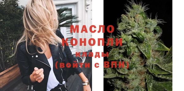 индика Дубна