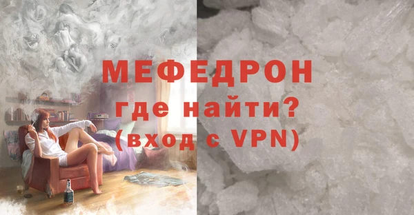 индика Дубна