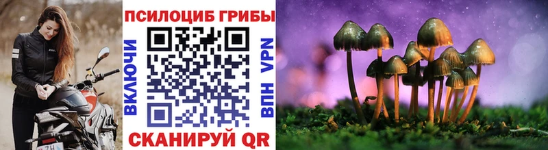 купить наркотики цена  Красновишерск  Галлюциногенные грибы Magic Shrooms 